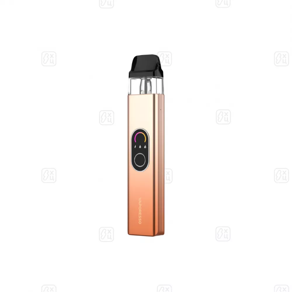 XROS 4 Champagne Gold_