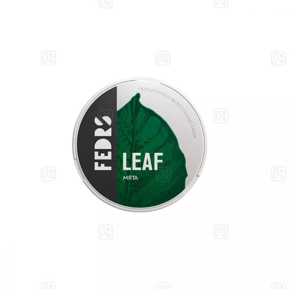 FEDRS_LEAF_CLASSIC_МЯТА