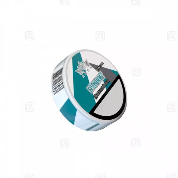 Жевательный_табак_ARQ_CLASSIC_Spearmint_16гр_М_