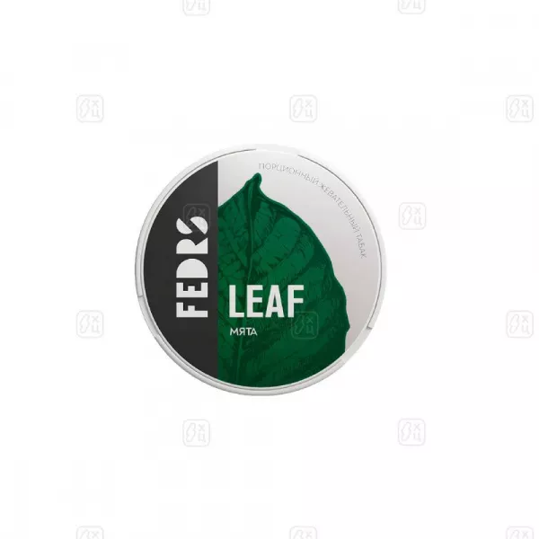 FEDRS_LEAF_CLASSIC_МЯТА